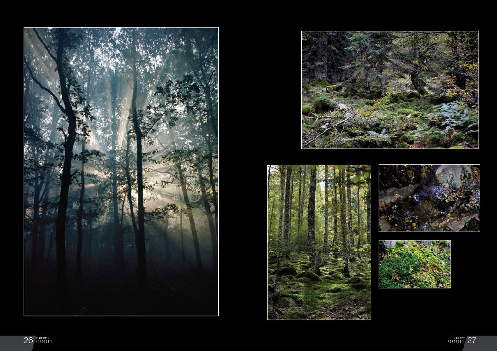 bc porfolio def-4.JPG